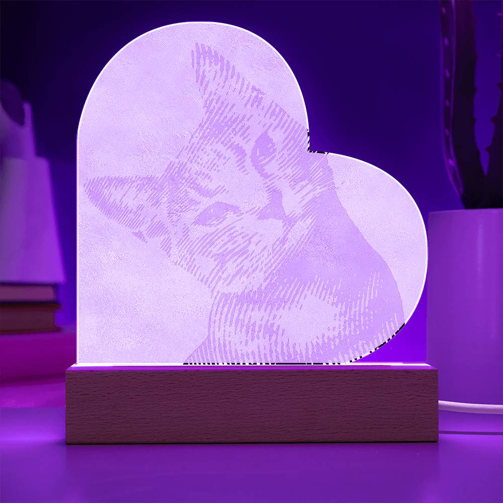 Custom Cat Acrylic Night Lamp