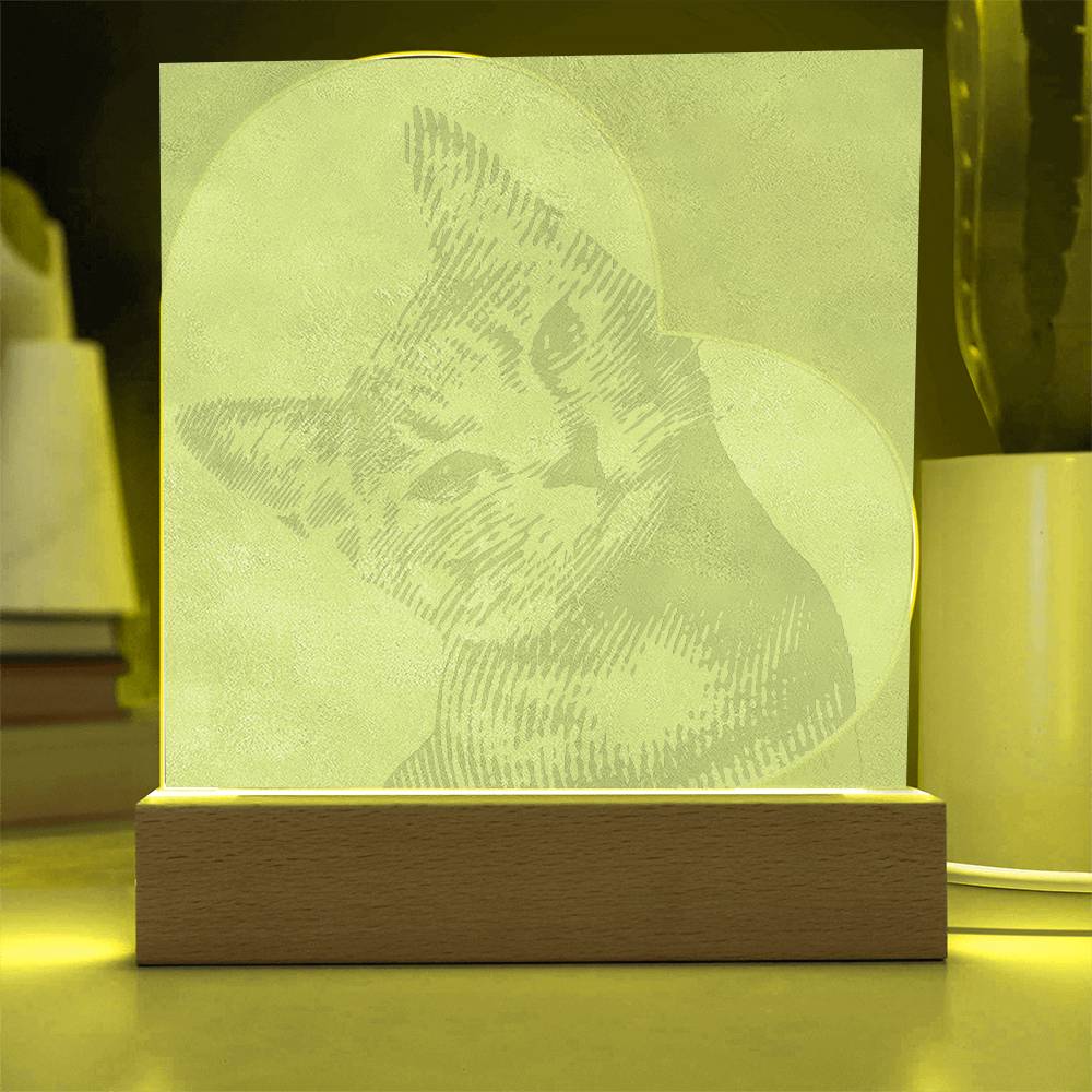 Custom Cat Acrylic Night Lamp