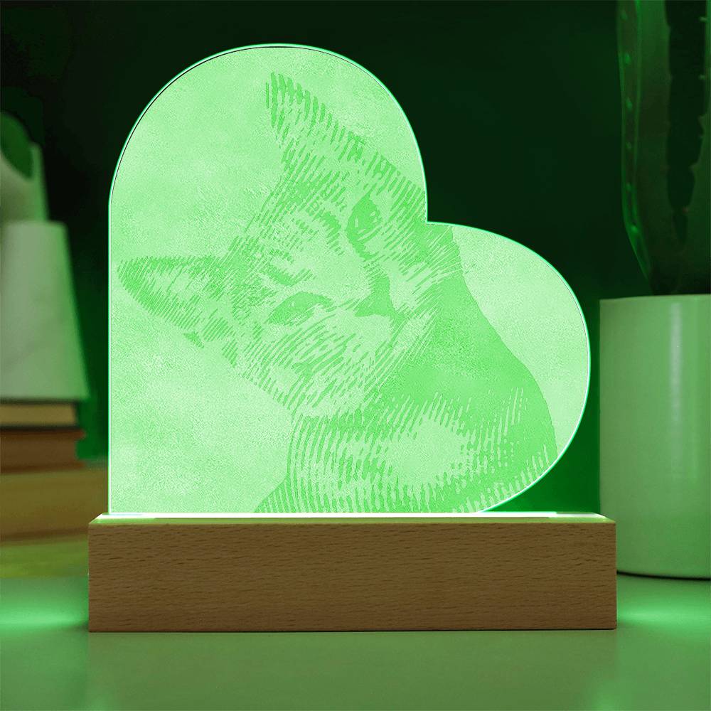 Custom Cat Acrylic Night Lamp