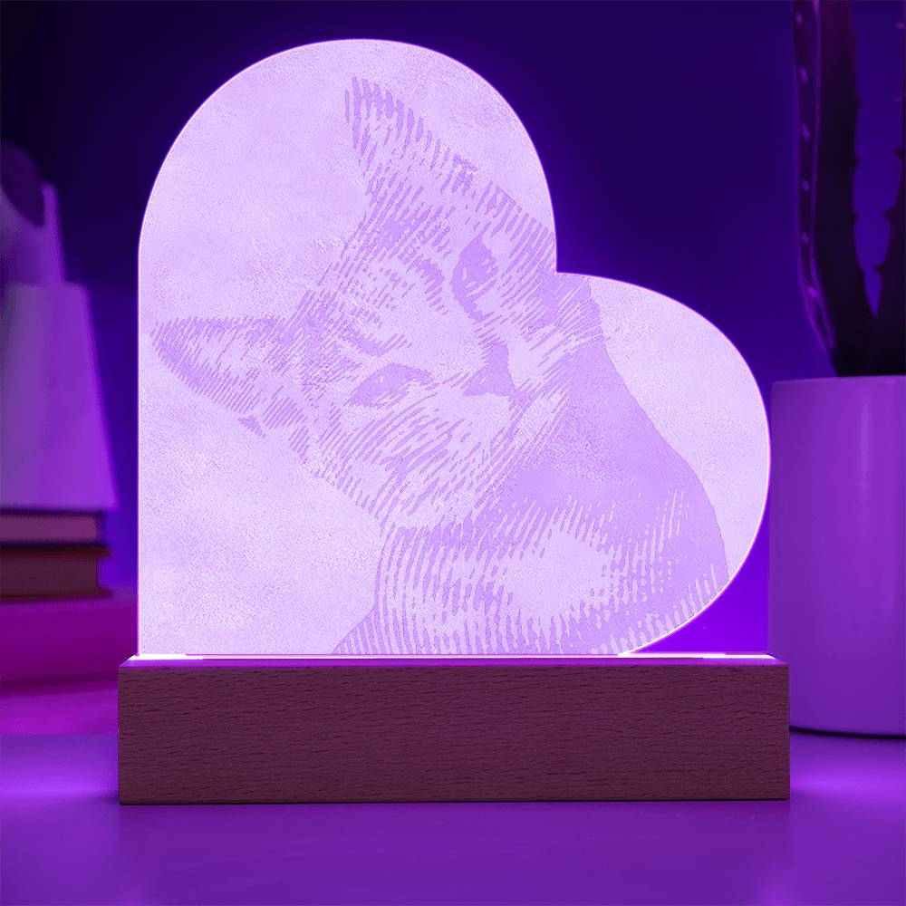 Custom Cat Acrylic Night Lamp