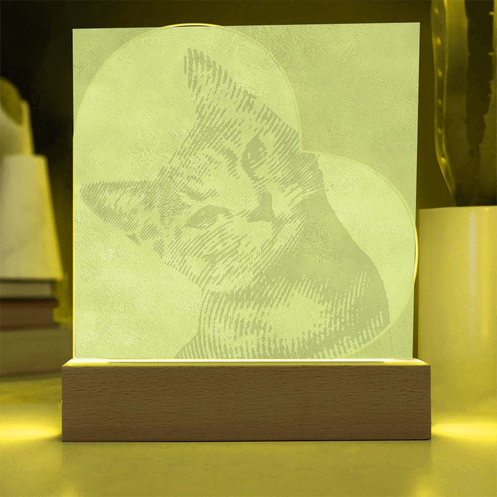 Custom Cat Acrylic Night Lamp